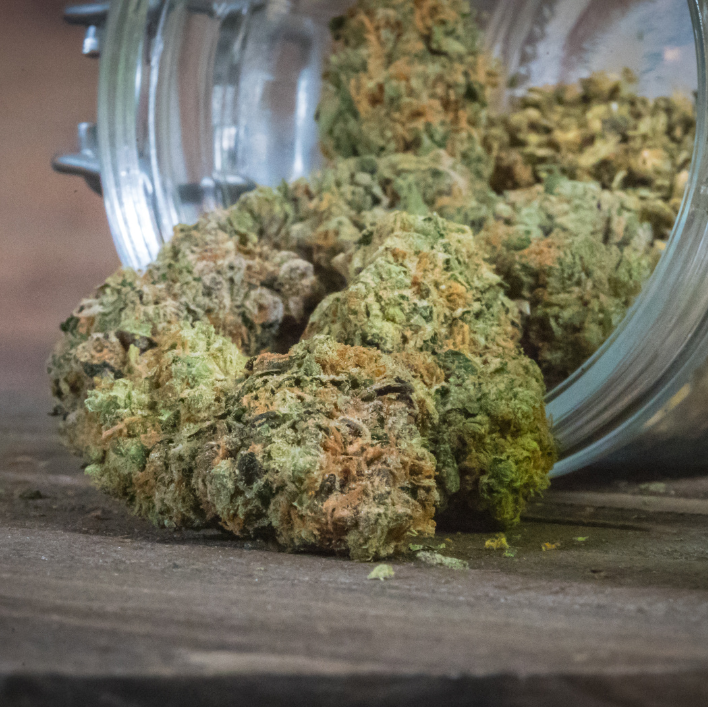 An Overview of the Future of Hemp: A Path Towards Sustainability