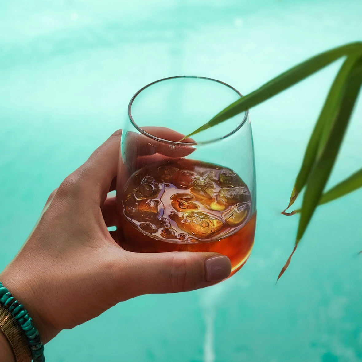 Hand holding an alcoholic drink on a blue water background with plant