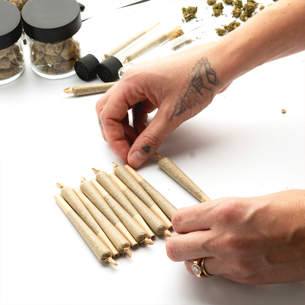 Cannabis Pre-Rolls 101
