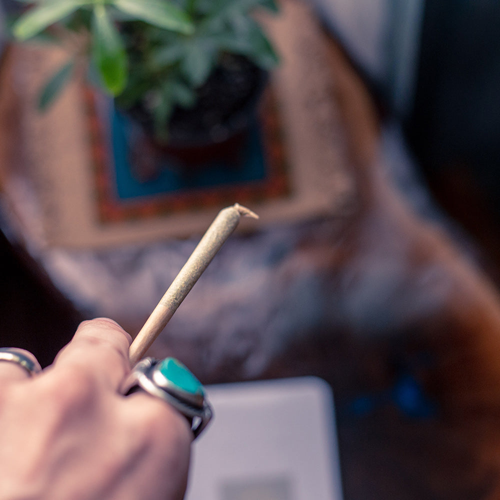 Canvast Pre-roll