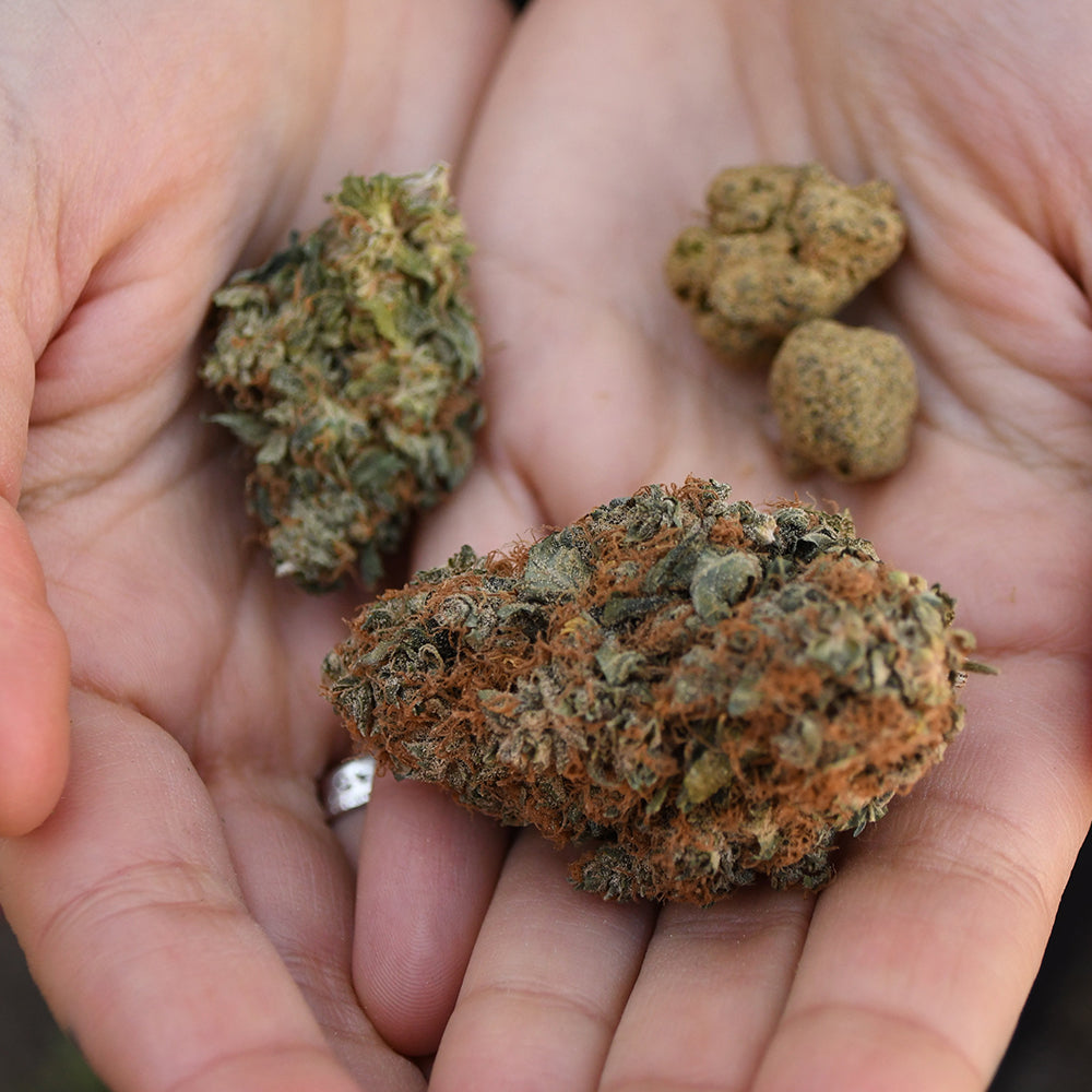 Smokable CBD Buds