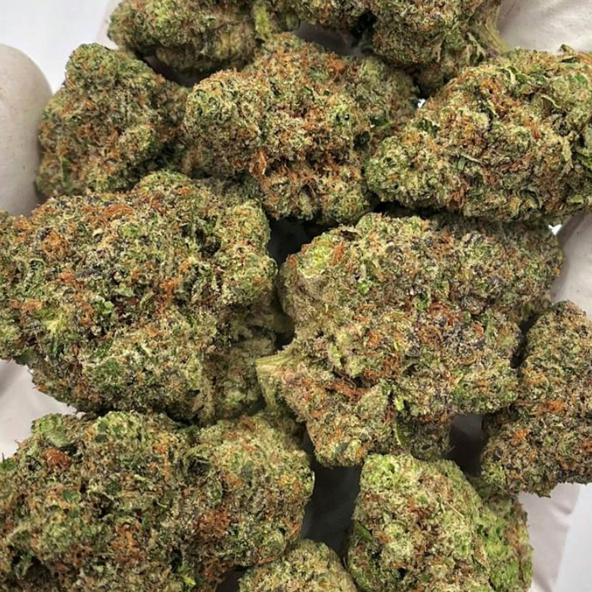 Animal Tree is a standout strain that fuses the sweet, citrusy sharpness and dense, doughy funk. The result is a richly aromatic hybrid strain with notes of lemon peel and a subtle diesel kick that sparks creativity and uplifts the mood. It’s ideal for daytime use, social settings, or when you need a quick mental refresh.