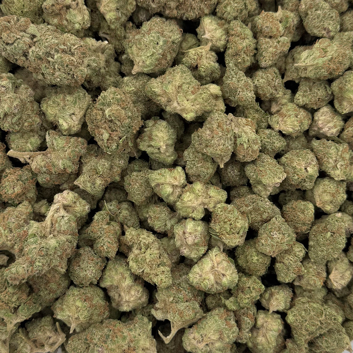 Blackberry THCa Hybrid Hemp Flower