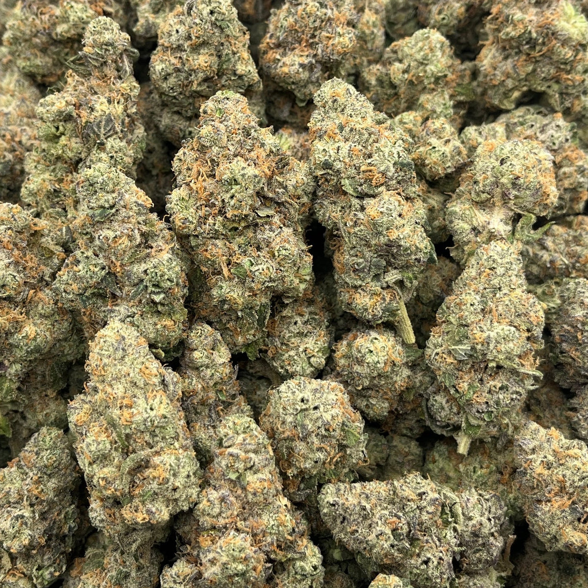 BASICS Blue Diamond THCa Hybrid Hemp Flower