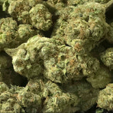 Frosty THCa Indica Hemp Flower