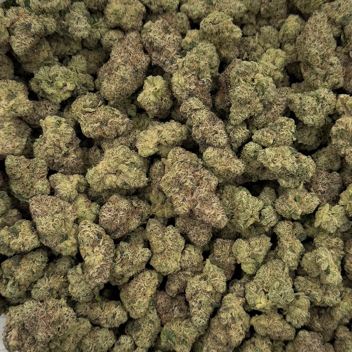 Han Solo THCa Indica Hemp Flower