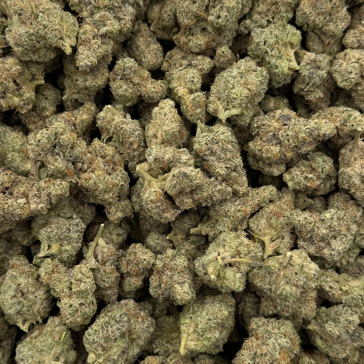 A perfectly balanced hybrid with a sweet vanilla cake aroma and a touch of diesel. LA Kush Cake combines smooth flavor with dense, frosty buds for a flavorful experience.