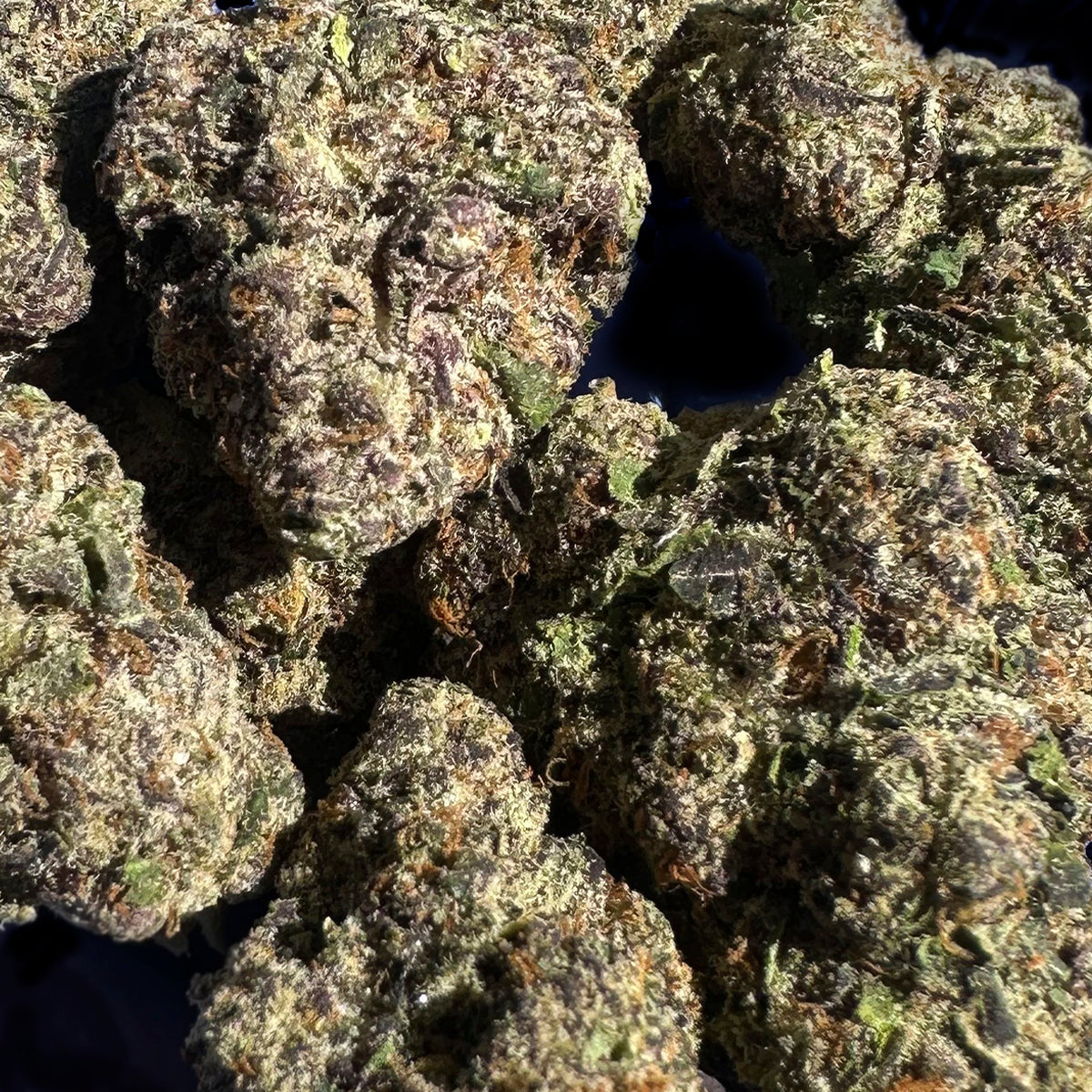 Lively and aromatic Party Poppers brings sweet fruit and a touch of gas on the nose. This balanced hybrid cultivar has stunning, colorful buds and candy-like flavor that make it a fun, flavorful choice for any occasion.