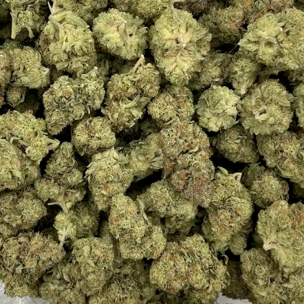 Passionfruit THCa Sativa Hemp Flower