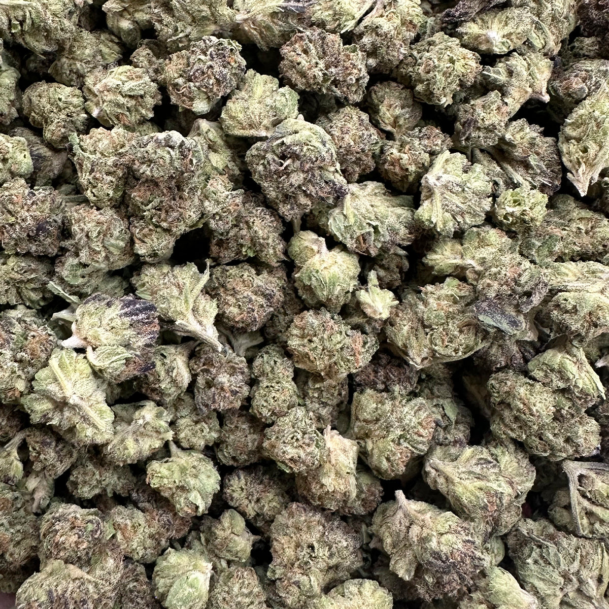 Purple Push Pop Smalls THCa Indica Premium Hemp Flower - This variety is a true hybrid with bright purple and green hues. A very earthy yet sweet aroma combined with soothing relaxing effects. Available in 14g size jars.