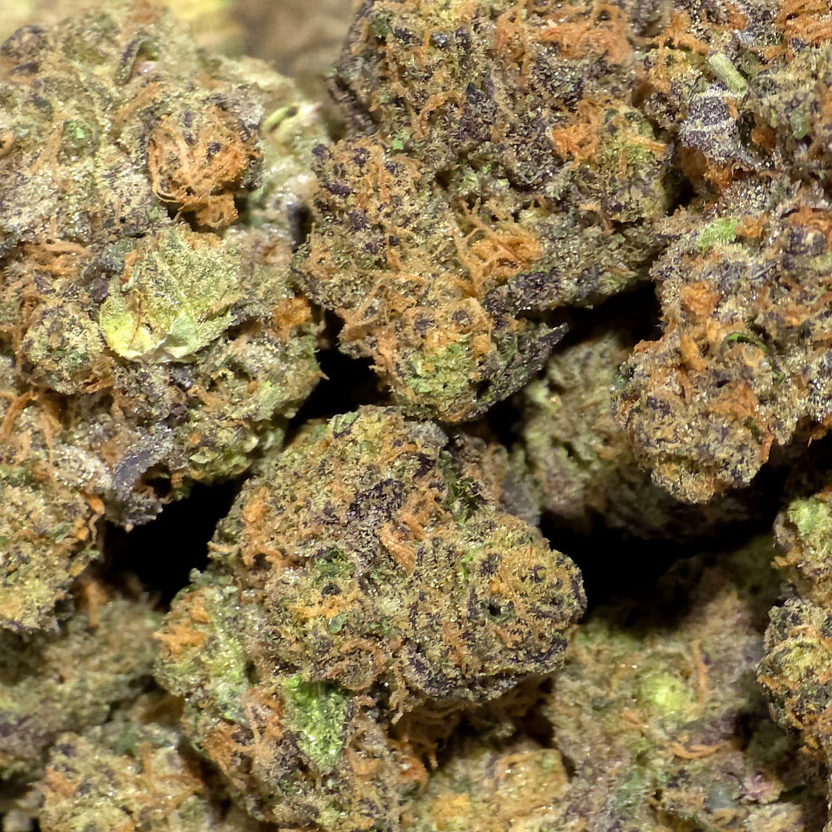 Purple Panty Dropper THCa Indica Hemp Flower