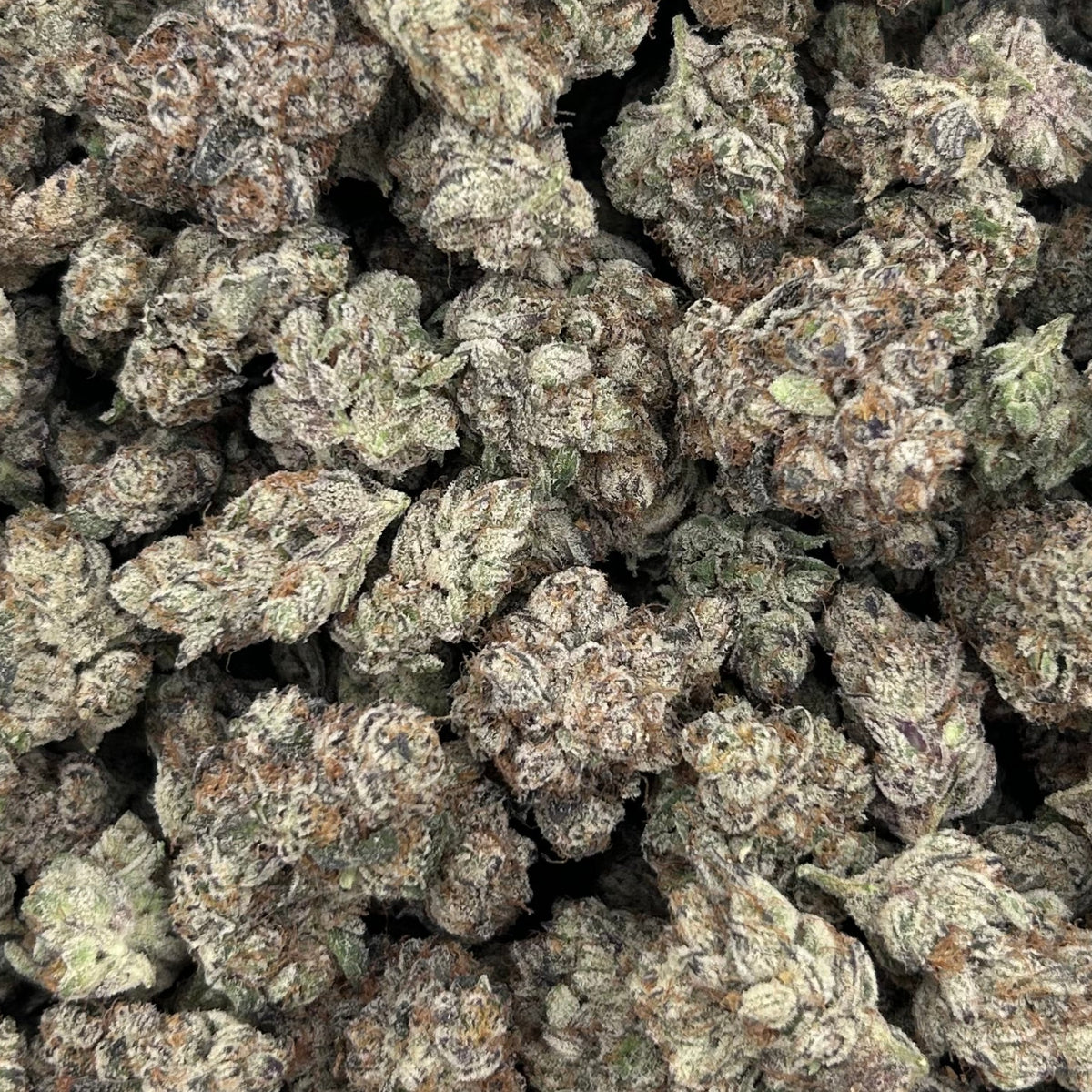 BASICS Rainbow Shaved Ice THCa Sativa Hemp Flower