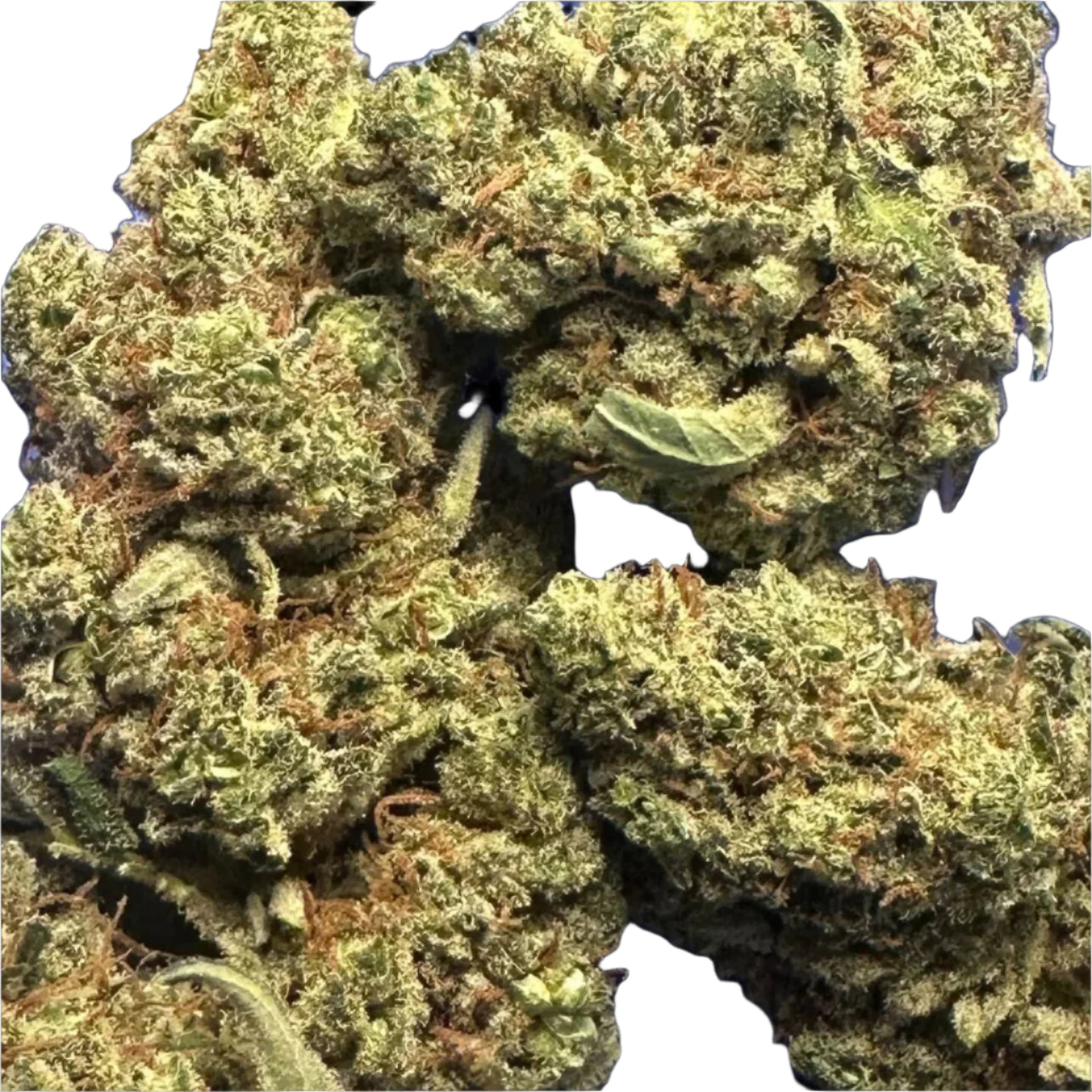 Wipeout CBD Hemp Flower
