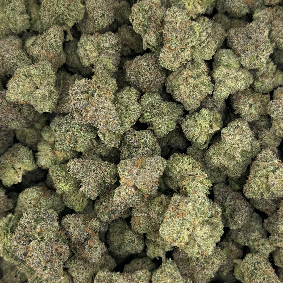 Cosmic Candy THCa Hybrid Hemp Flower