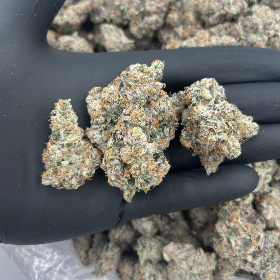 French Lotus Hybrid Hemp Flower