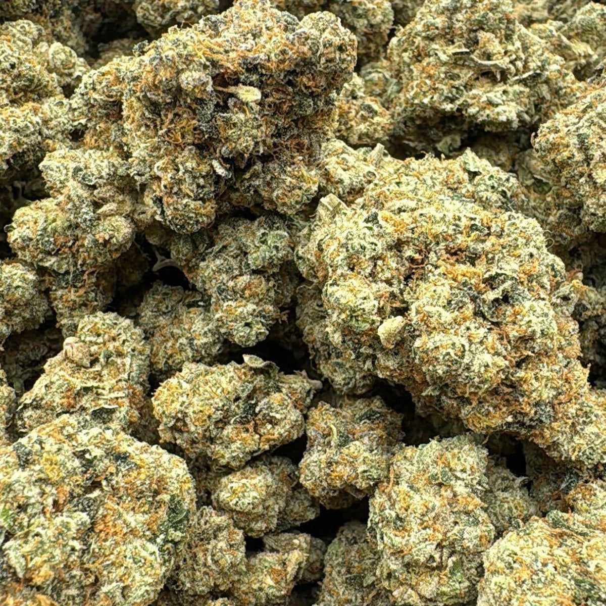 A well-balanced hybrid strain offering smooth cerebral energy paired with mellow relaxation — an all-star choice for anytime enjoyment.