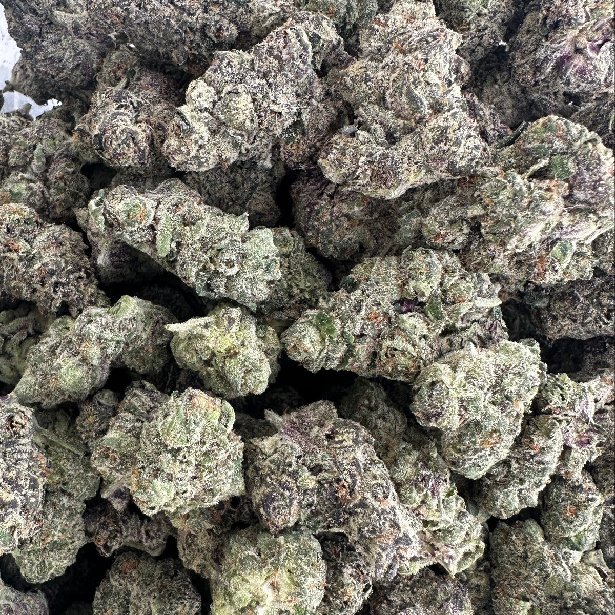 BASICS Private Reserve THCa Hybrid Hemp Flower