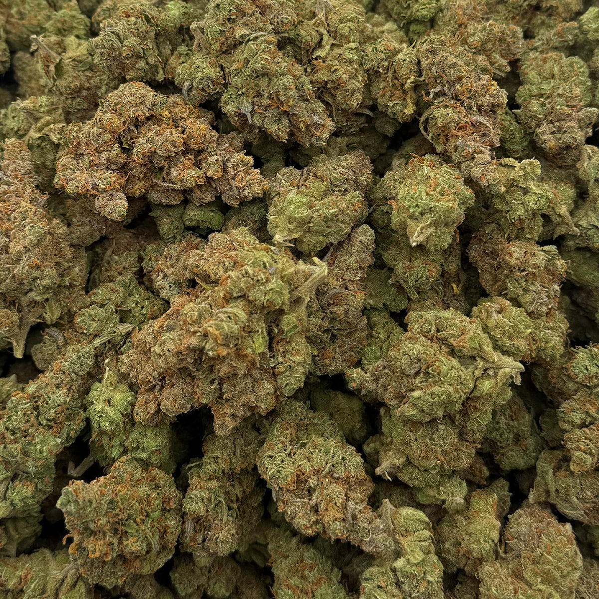 Silver Surfer sativa hemp flower with bright citrus aroma and uplifting daytime effects