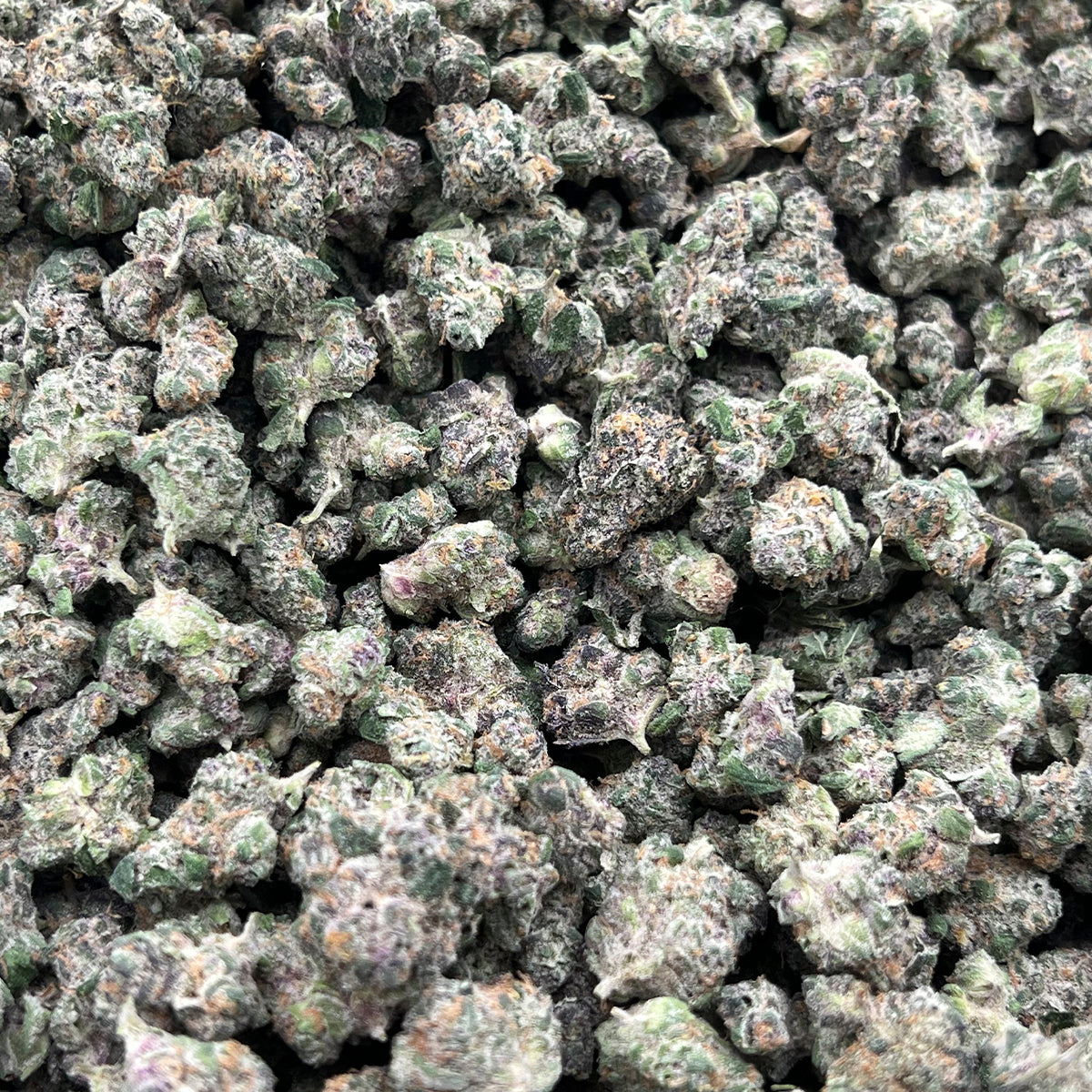 Super Boof is a powerhouse hybrid variety that blends sweet, fruity flavors with bold, gassy undertones. Whether you’re looking for creative stimulation or mellow vibes, Superboof offers a flavorful, well-rounded experience that hits just right.