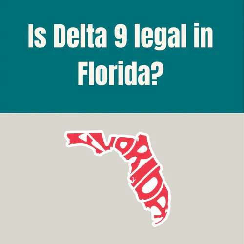 Is Delta 9 Legal in Florida? Everything You Need To Know