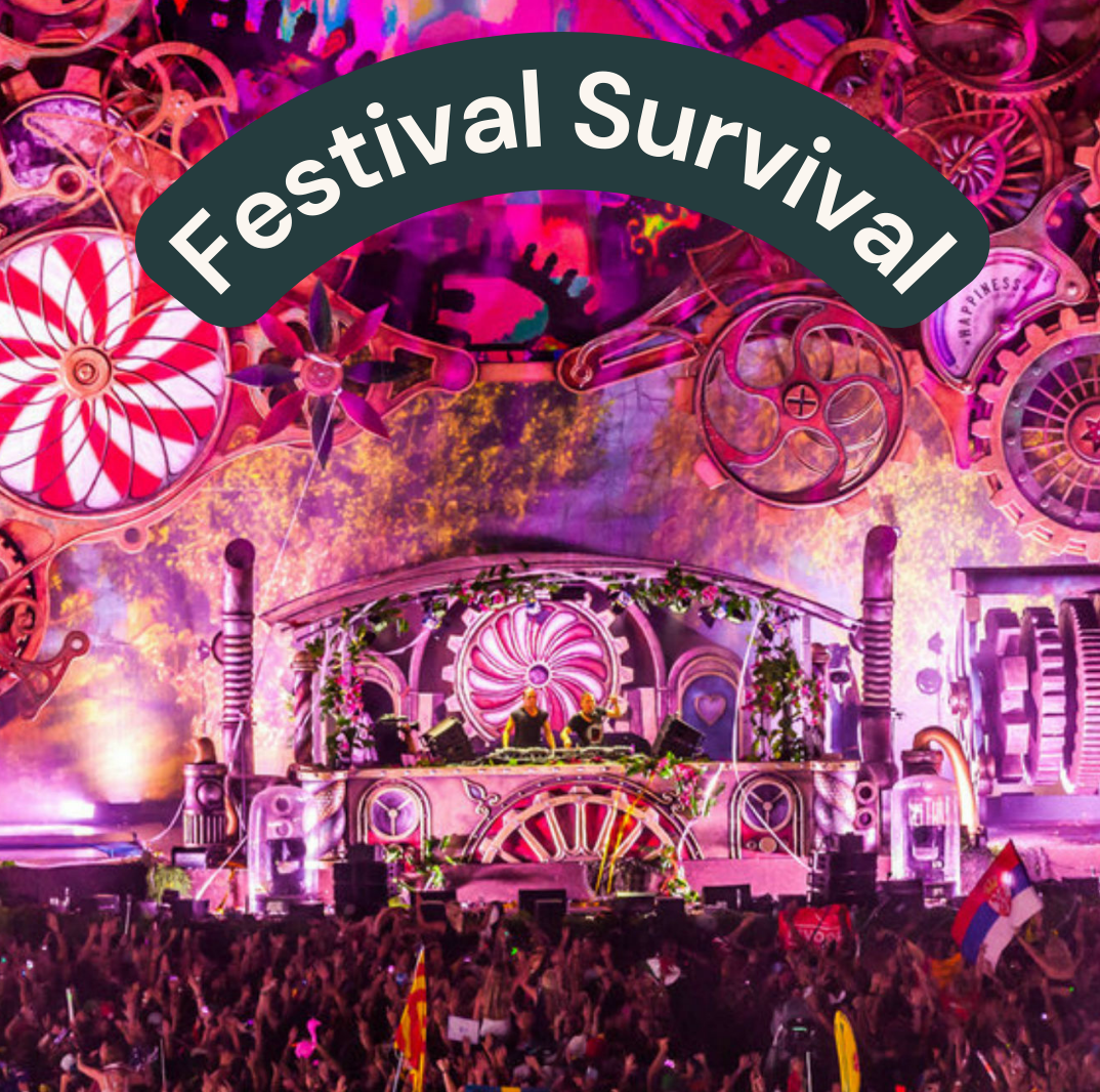 Festival Survival Guide with Canvast