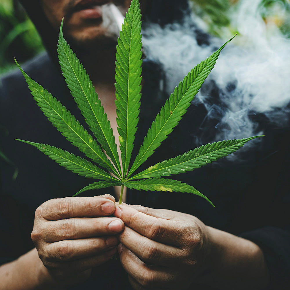 how-are-the-smokable-hemp-bans-affecting-the-markets