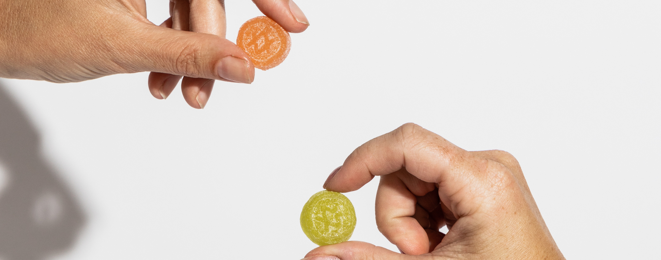 A collection of all Canvast Gummies held in arms