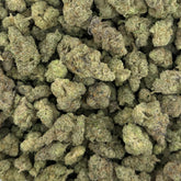 BASICS Bulk Buds - Animal Tsunami OG THCa Hybrid Hemp Flower