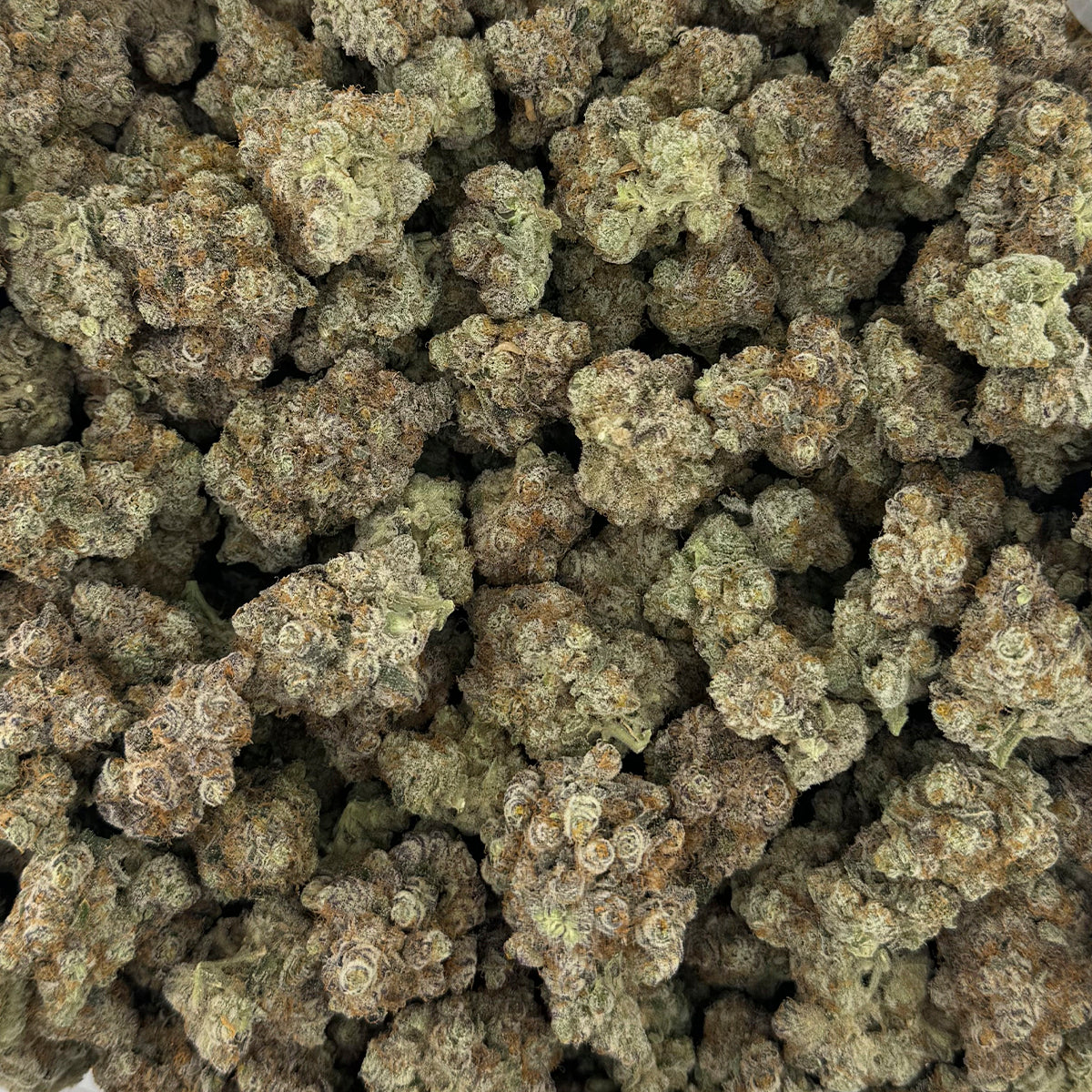 Benny Blanco hemp flower strain featuring crystal-coated buds with bright green shades and thick orange pistils.