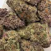 A flavorful hybrid with sweet berry and citrus notes, Berry Punch offers a smooth smoke and uplifting effects. High in THCA, it delivers balanced mental clarity and body relaxation when heated. Perfect for daytime creativity or light stress relief.