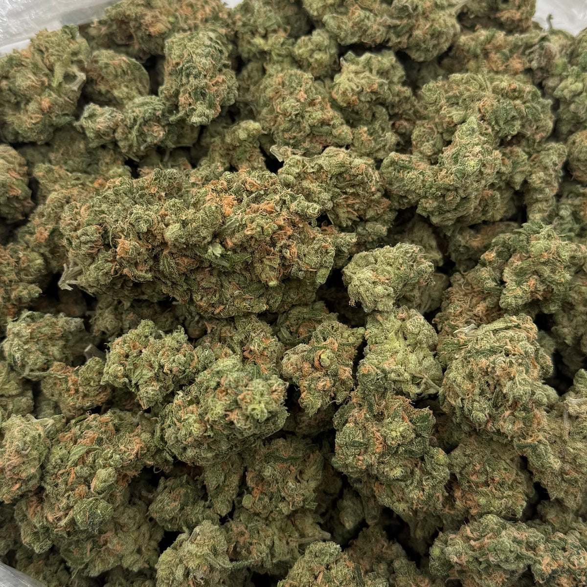 BASICS Bulk Buds - Blue Dream THCa Sativa Hemp Flower