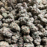 This 36.8% hybrid dazzles with deep purple and forest-green buds coated in shimmering trichomes. Bursting with sweet blueberry and spicy diesel aroma, it delivers a smooth, euphoric lift with a mellow, body-soothing finish.