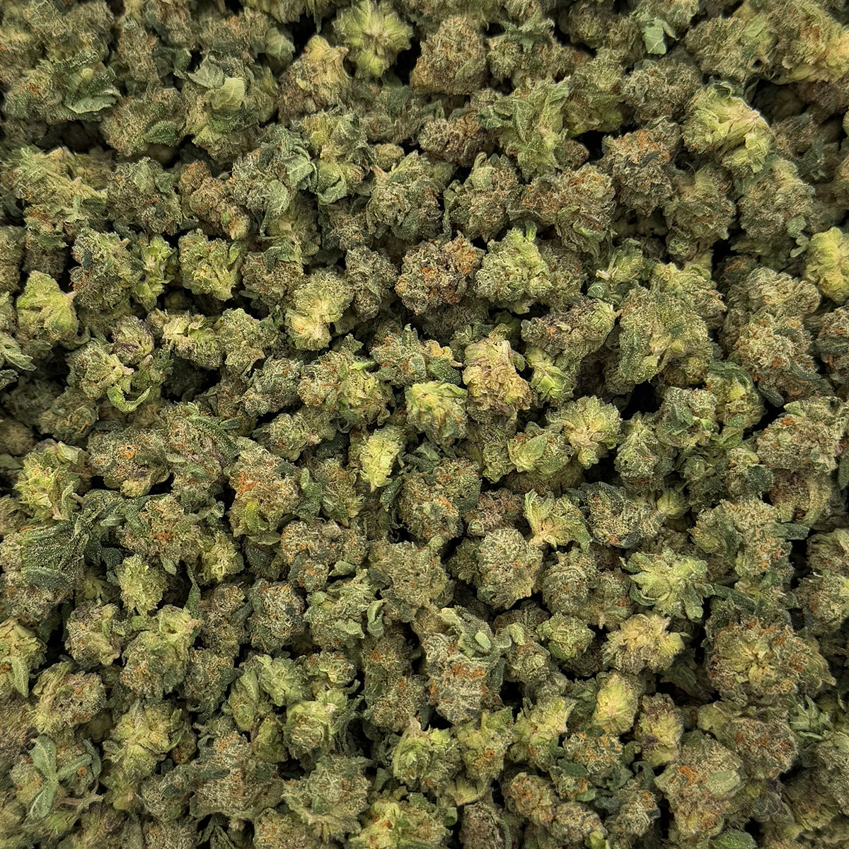 Candy Marker hemp flower strain displaying sticky, crystal-covered buds with vibrant green coloring and orange hairs.