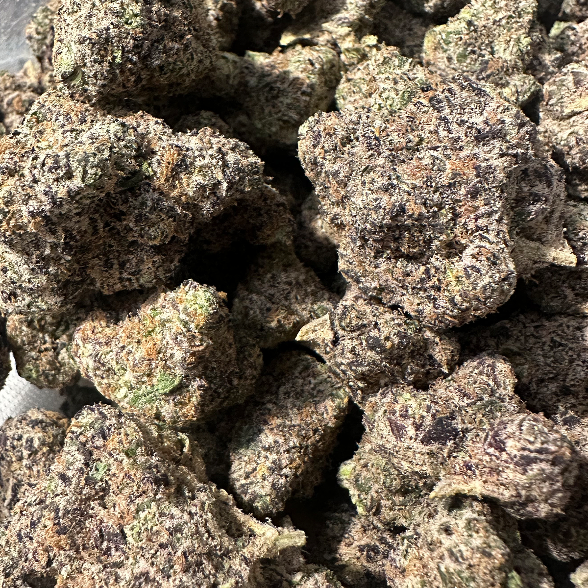 Cherry Dosi offers a perfect balance of both worlds—blending tart cherry with earthy funk and a touch of diesel. This evenly balanced hybrid delivers calming, clear-headed effects without being too sedating or overly energizing. Dense, frosty buds and standout flavor make it a versatile choice for day or night.
