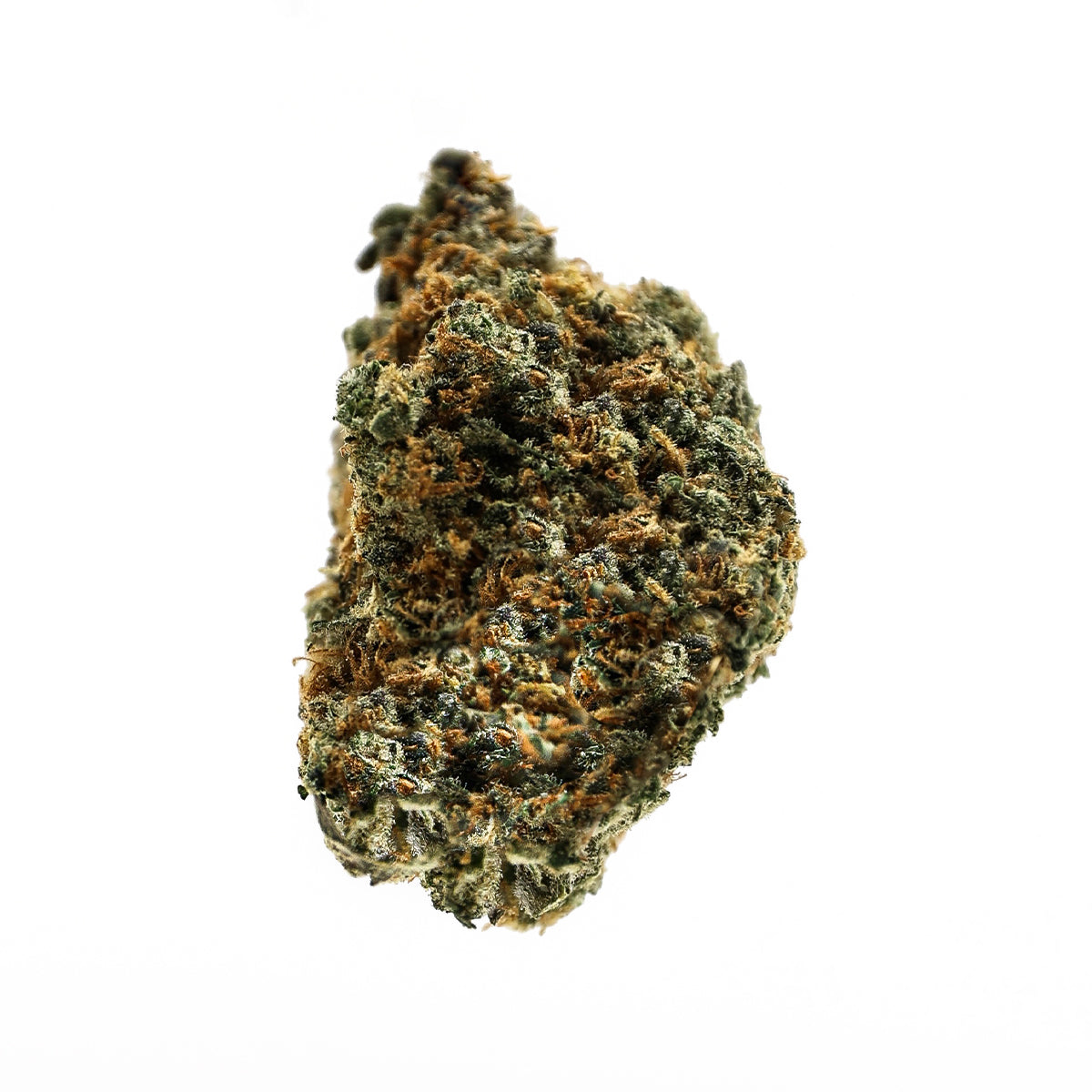 College Park THCa Sativa Premium Hemp Flower - Light green dense nugs with a tight structure and orange hairs all throughout. This sativa dominant hybrid has a very earthy, piney nose with Beta Caryophyllene as the dominant terpene. Available in 3.5g and 14g size jars.