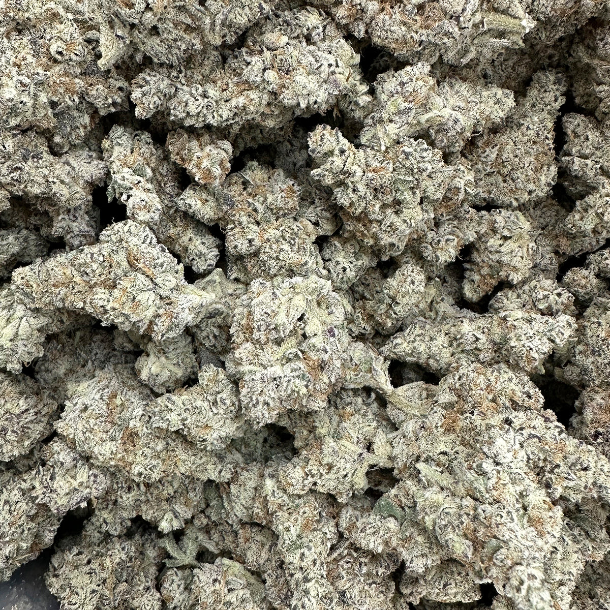 Dante's Inferno Premium THCa Hybrid Hemp Flower - A surprisingly fruity and sweet hybrid with frosted nugs and orange pistils throughout. This variety has a delicious smell and great flavor to finish it off. Available in 3.5g and 14g size jars.