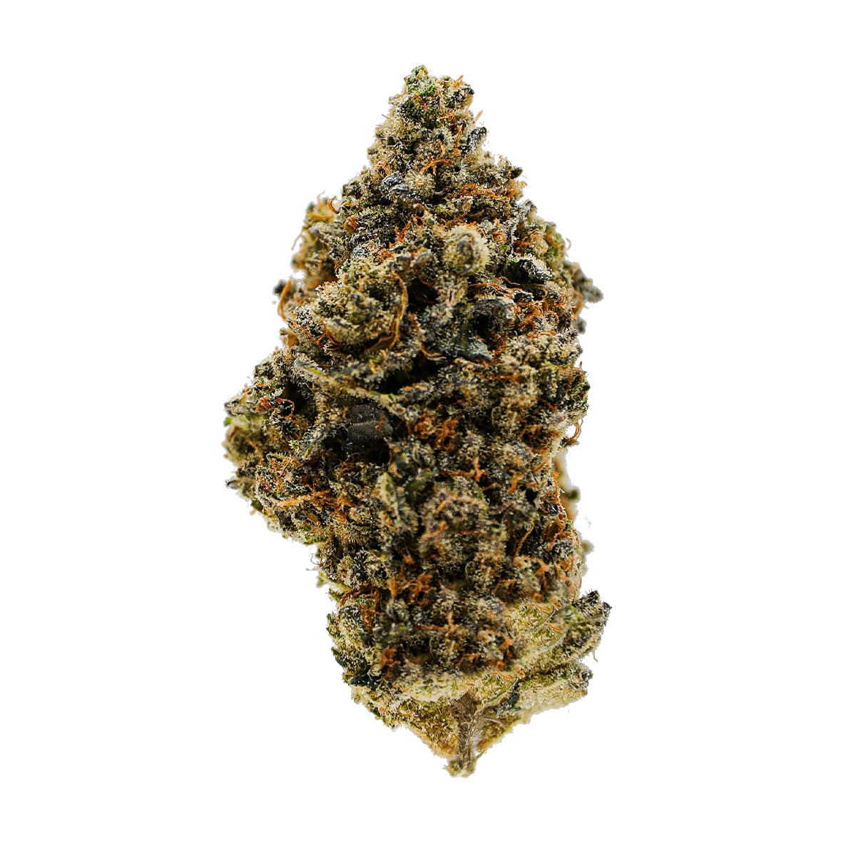 Donnie Burger THCa Indica Premium Hemp Flower - This potent indica dominant variety has dark green and purple nugs with an earthy gasy nose. The most abundant terpene in Donny Burger is caryophyllene, followed by limonene and myrcene.
