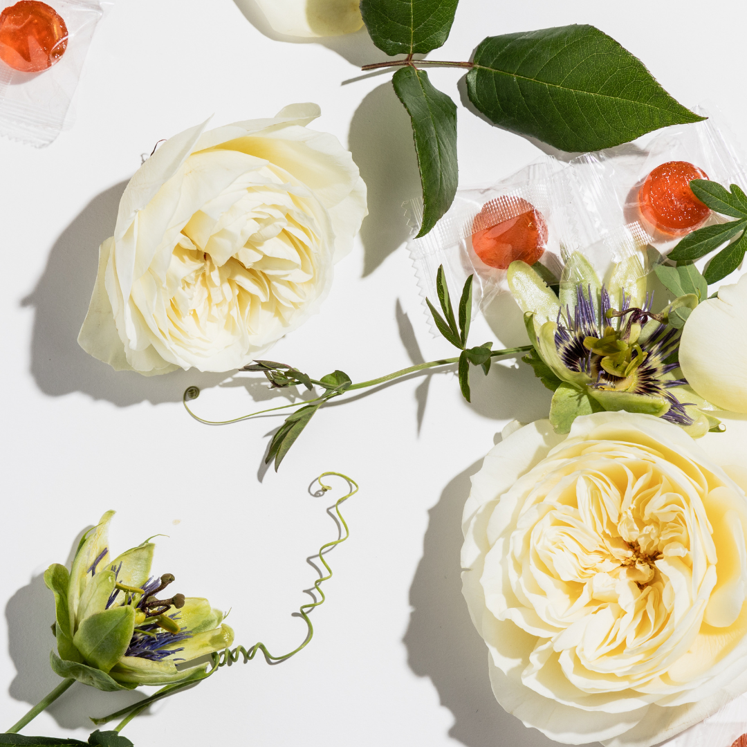 canvast drifters hard candies edibles for sleep with cbn, cbd, reishi mushrooms and terepnes.