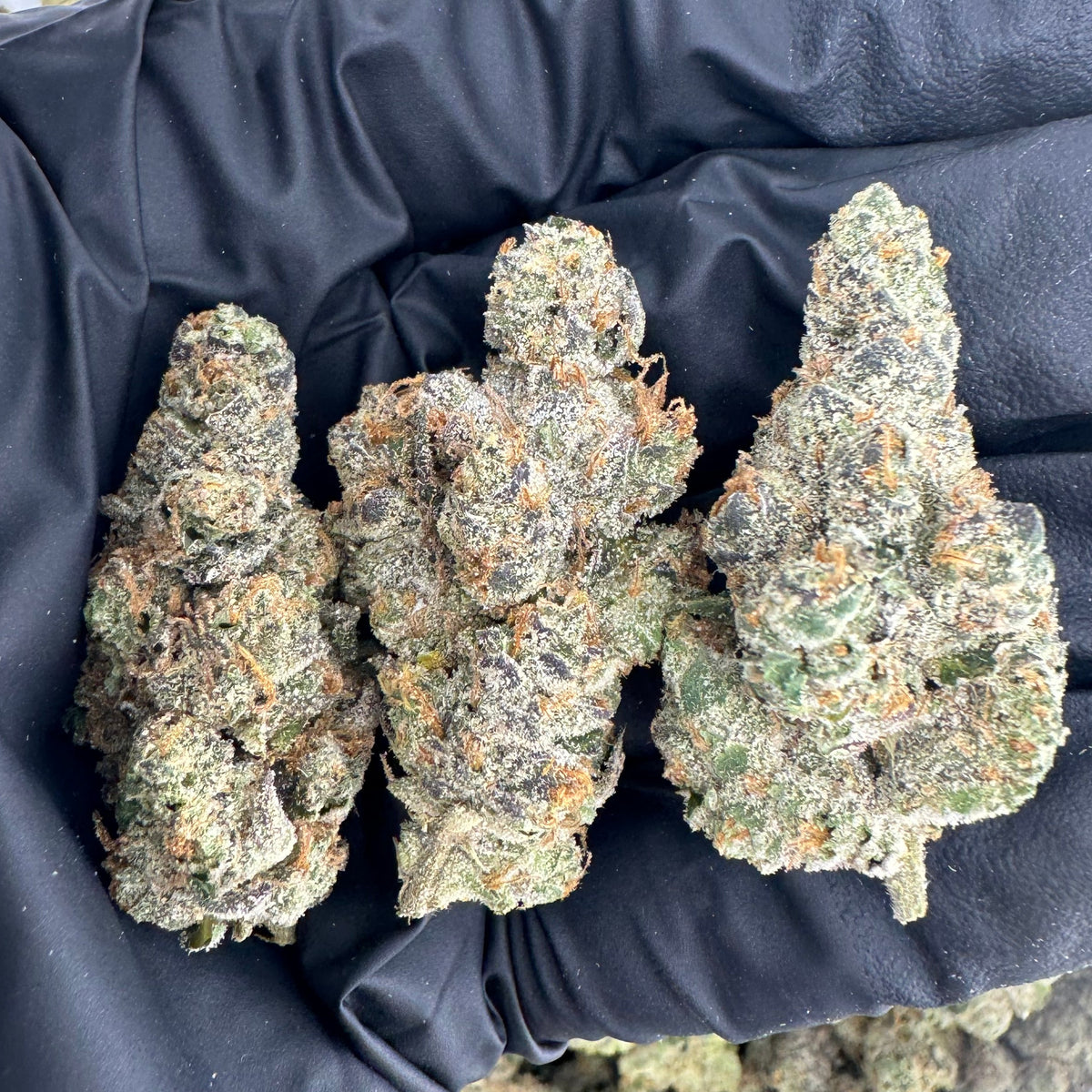 BASICS GMO THCa Indica Hemp Flower