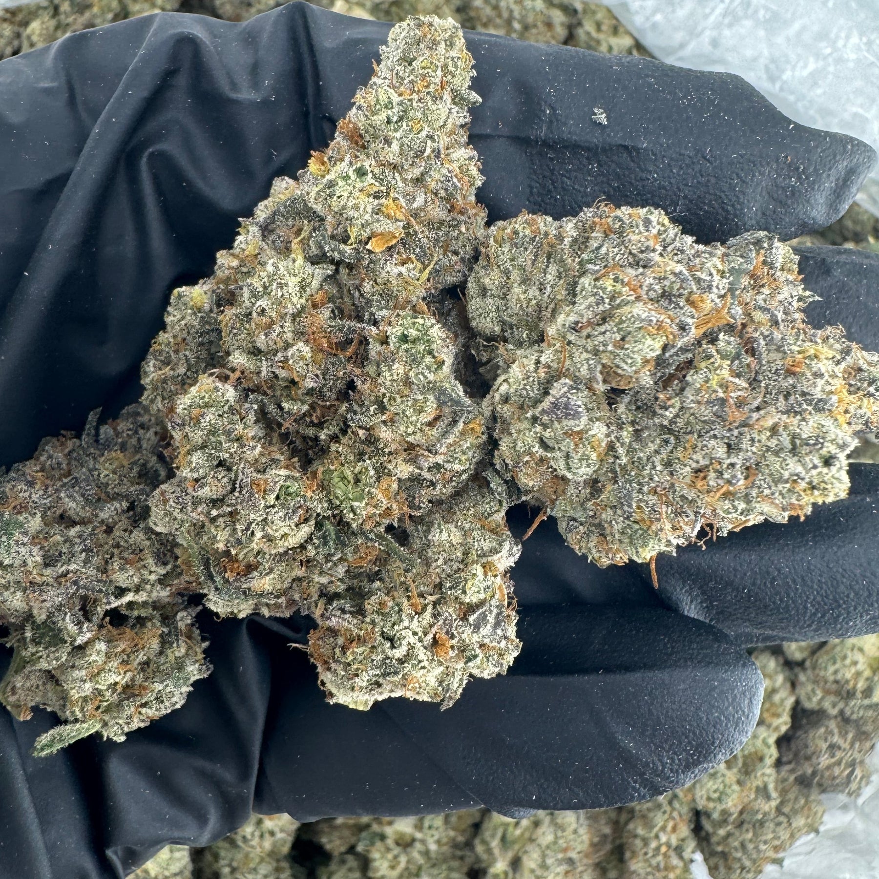 Goofiez THCa Hybrid Hemp Flower