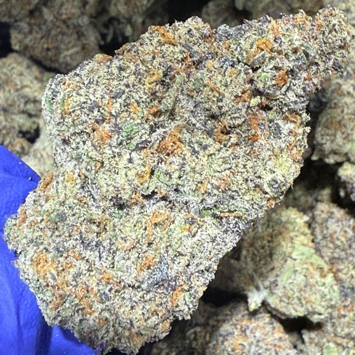 Sex Tape THCa Sativa Hemp Flower