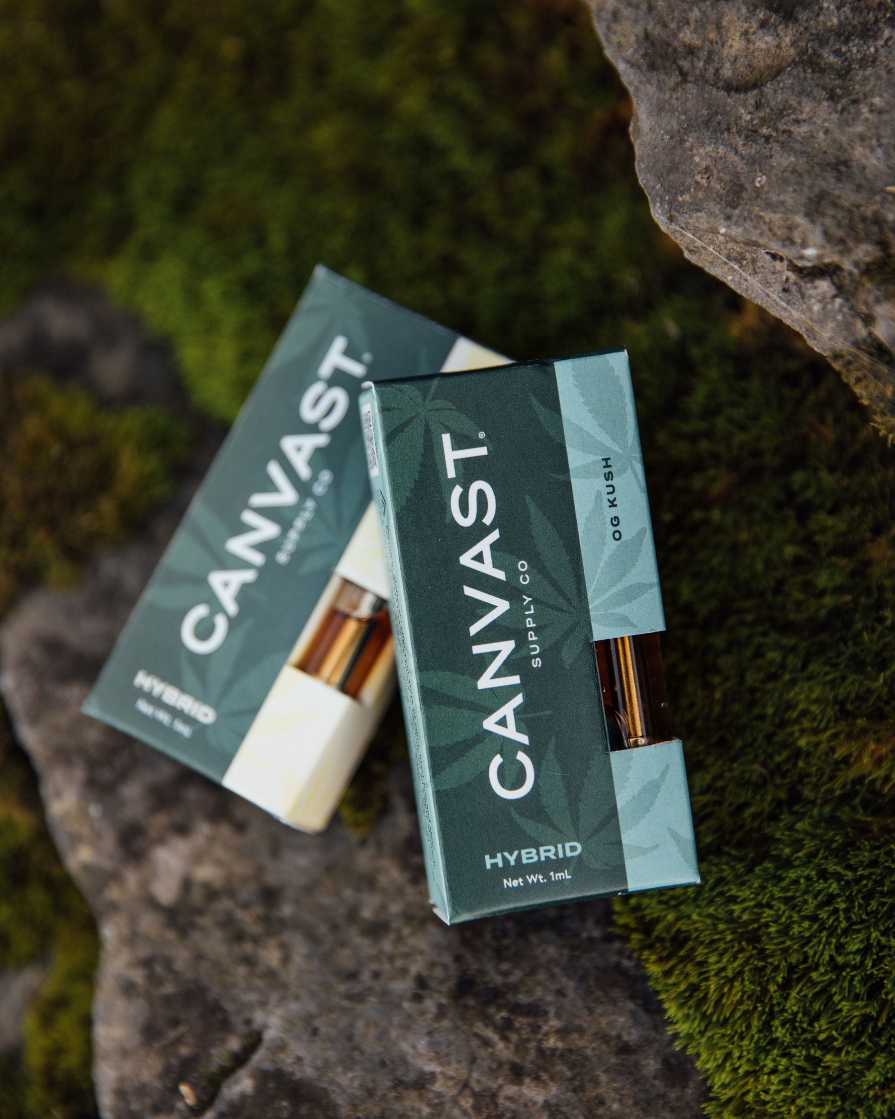 The Magic of Cannabis for Everyone Canvast Supply Co