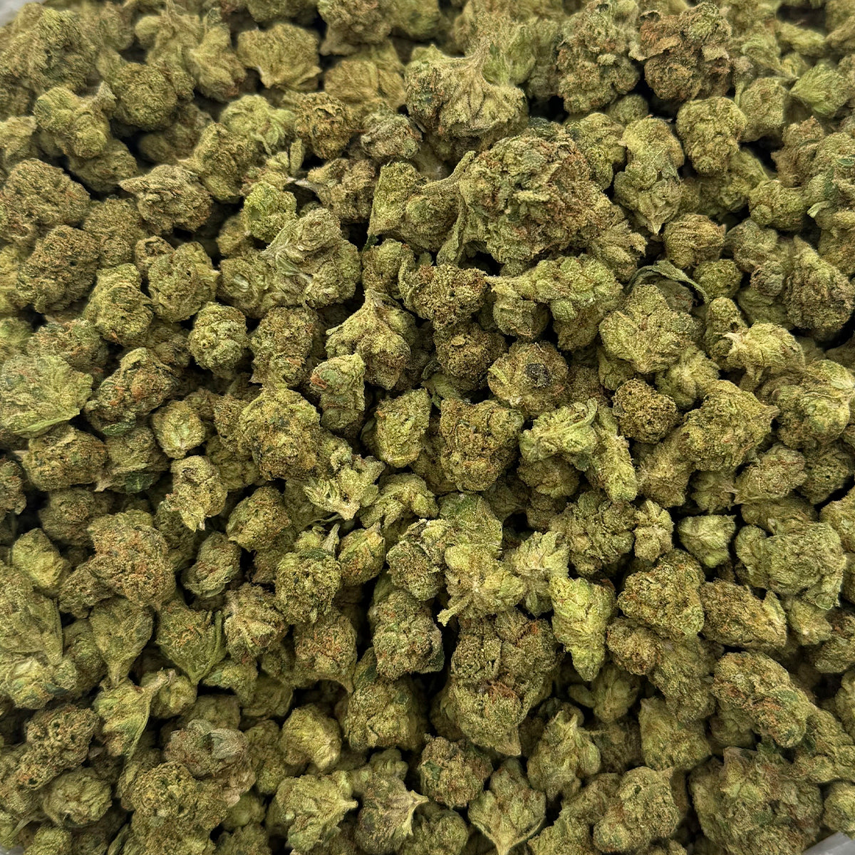 Jack Herer Smalls hemp flower strain featuring smaller, compact buds with bright green tones and a generous coating of trichomes.