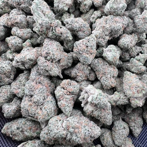 L’Orange THCa flower blends vibrant citrus zest with a subtle finish, offering a smooth and flavorful experience from start to finish. This sativa-leaning variety is known for its bright aroma, sticky trichomes, and dense bud structure.