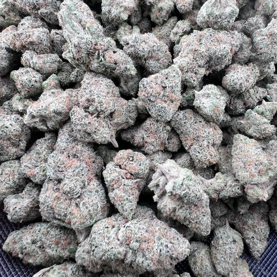 L’Orange THCa flower blends vibrant citrus zest with a subtle finish, offering a smooth and flavorful experience from start to finish. This sativa-leaning variety is known for its bright aroma, sticky trichomes, and dense bud structure.