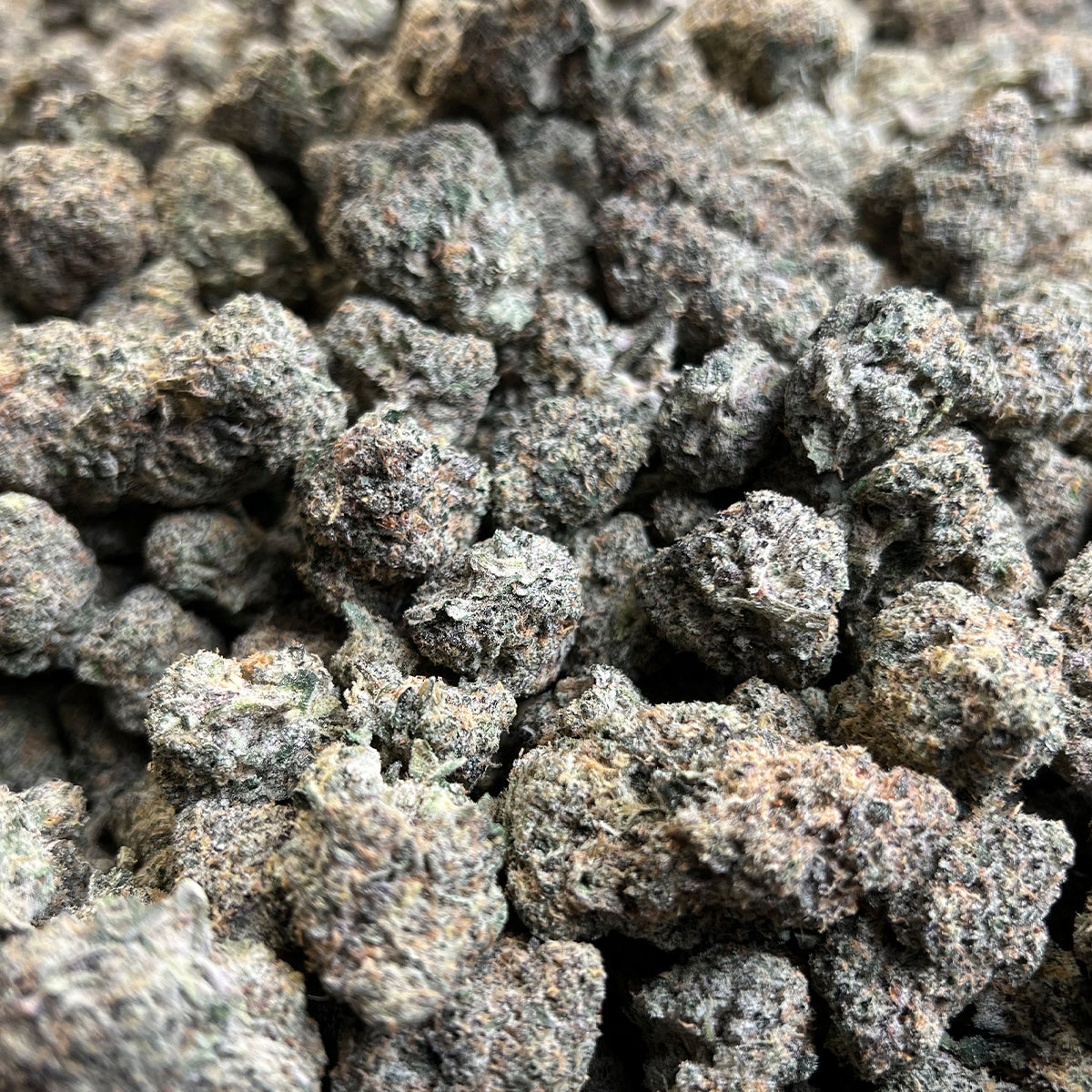 With bold notes of fuel and fruit layered over a rich, earthy base, this true hybrid cultivar delivers a memorable profile that stands out from the crowd. Crafted for those who appreciate potency and character, Lift Ticket is your all-access pass to a premium flower experience.