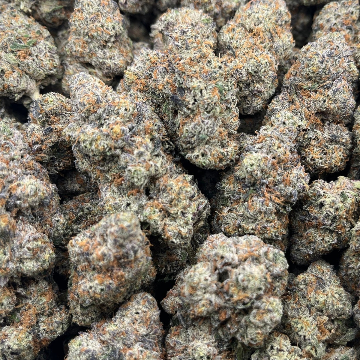 BASICS Milk and Cookies THCa Indica Hemp Flower
