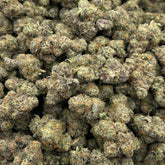 BASICS Bulk Buds - Mule Fuel OG THCa Indica Hemp Flower