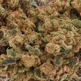 Grounding and mellow, Oz Kush CBD/CBG flower delivers a unique, soothing experience with none of the psychoactivity. The blend of CBG and CBD makes for an interesting profile and nose. This calming CBD variety grown in South Tennessee can help manage daily tension and promote relaxation with smooth, earthy flavor.

Best for: Anytime calm, balance, managing discomfort.