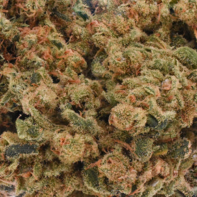 Grounding and mellow, Oz Kush CBD/CBG flower delivers a unique, soothing experience with none of the psychoactivity. The blend of CBG and CBD makes for an interesting profile and nose. This calming CBD variety grown in South Tennessee can help manage daily tension and promote relaxation with smooth, earthy flavor.

Best for: Anytime calm, balance, managing discomfort.